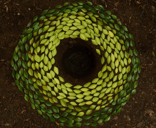 Circular economy for a sustainable future
